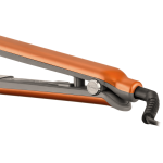 imagen 2026 02 25 115455680